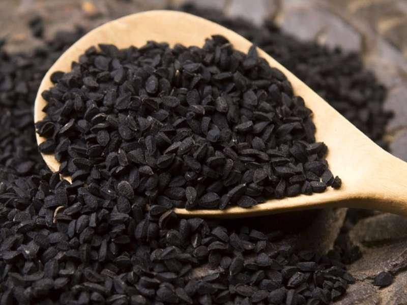 Çörek Otu